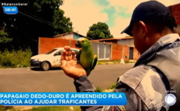 Loro avisa a los traficantes