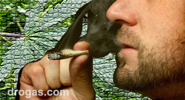 Hombre fumando cannabis, marihuana, thc